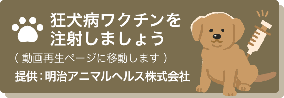狂犬病ワクチンを注射しましょう
