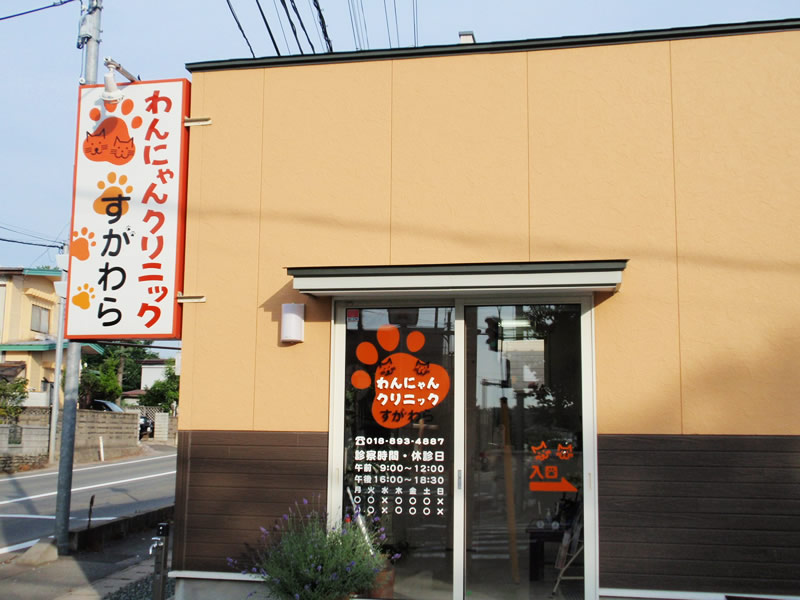 写真